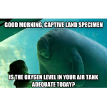 1359619098.png